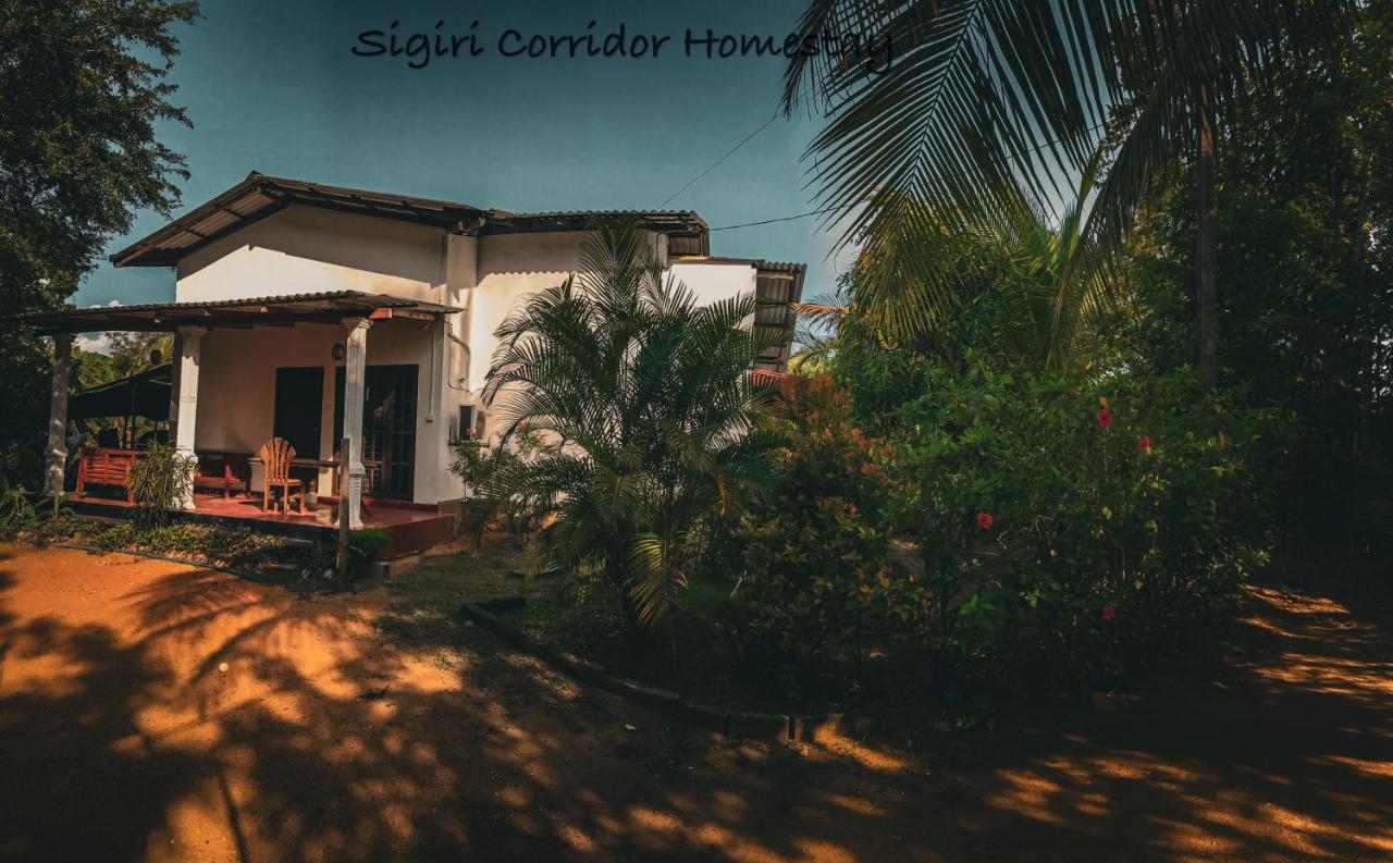 Sigiri Corridor Home Stay Сигирия Екстериор снимка