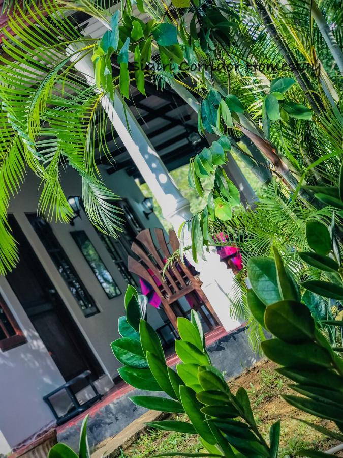 Sigiri Corridor Home Stay Сигирия Екстериор снимка